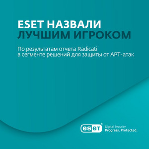 ESET лучший игрок, который формирует рынок с помощью своих технологий и стратегического видения.